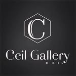 تصویر پروفایل @ccil.gallery