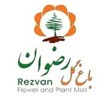 تصویر پروفایل @rezvangol.ir