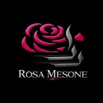تصویر پروفایل @rosa__mesone