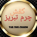 تصویر پروفایل @tab.shoe.charm