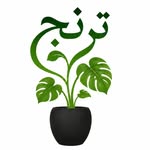 تصویر پروفایل @toranj_flowerpot
