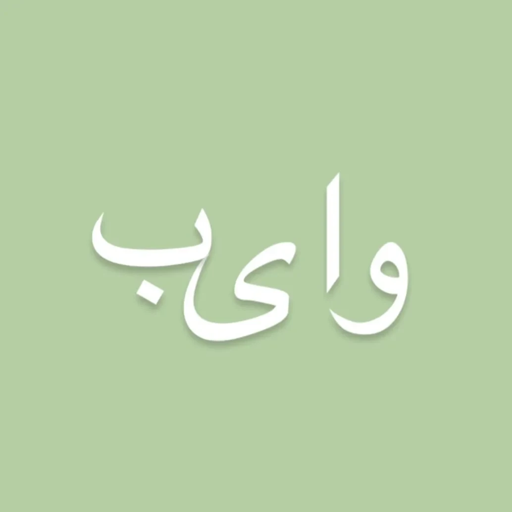 تصویر پروفایل @vibes_scarf