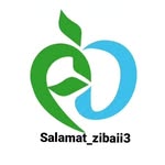 تصویر پروفایل @zibakade._1